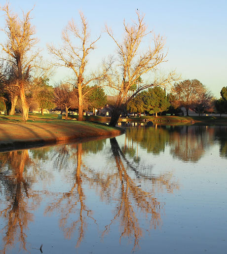 07eda4_b8d43a18ce8e440c9137f6330326c183mv2